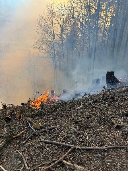 Waldbrand am Tabor – Hauptfeuerwache Villach im Großeinsatz (Bild 6)